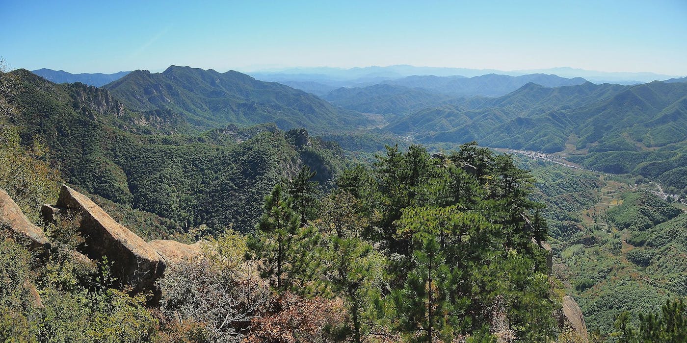 Loess Plateau & Huang He Plain Mixed Forests (PA49)